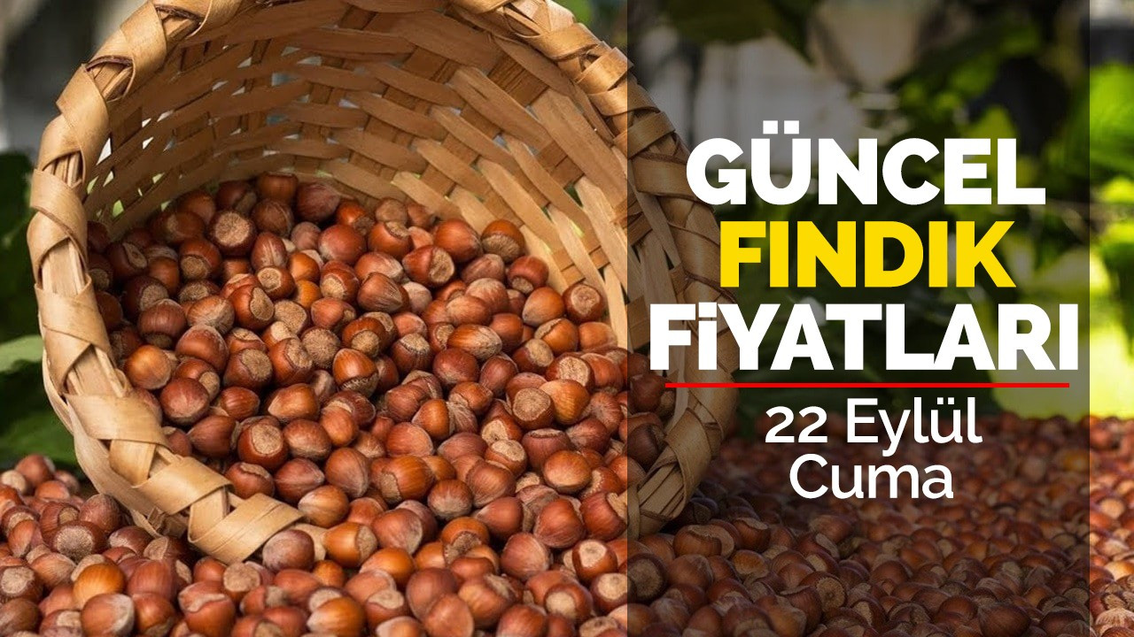 22 Eylül Cuma Güncel Fındık Fiyatları