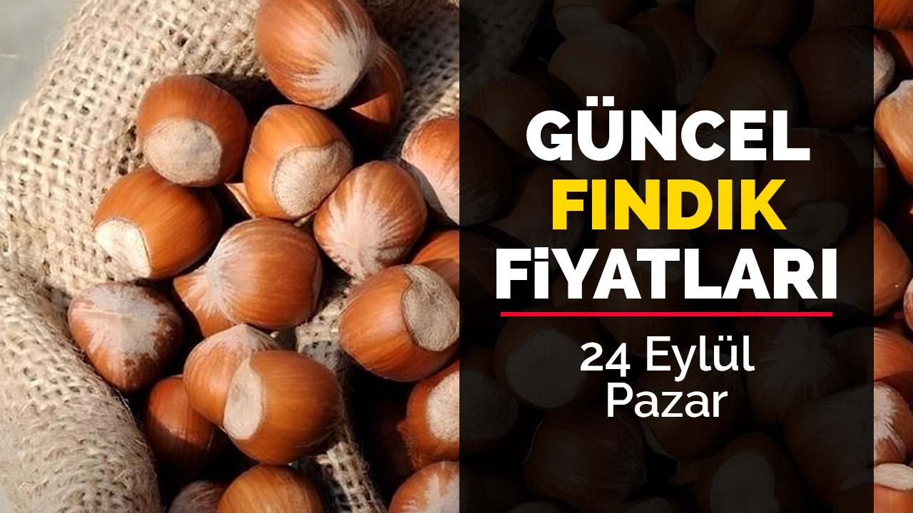 24 Eylül Pazar Güncel Fındık Fiyatları