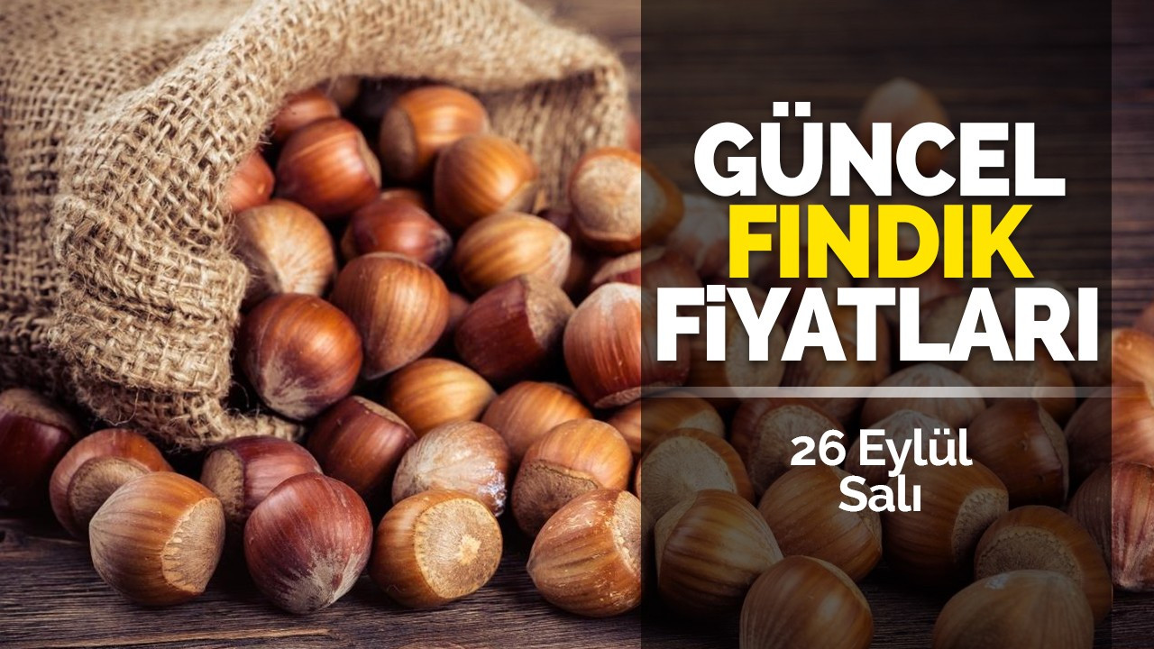 26 Eylül Salı Güncel Fındık Fiyatları