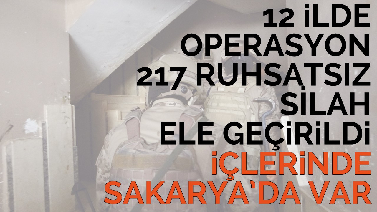 12 ilde icra edilen operasyonda 217 ruhsatsız silah ele geçirildi: İçlerinde Sakarya'da var