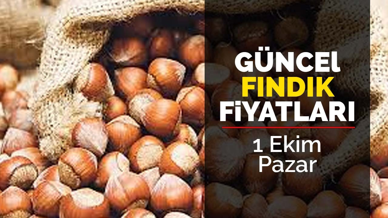 1 Ekim Pazar Güncel fındık Fiyatları