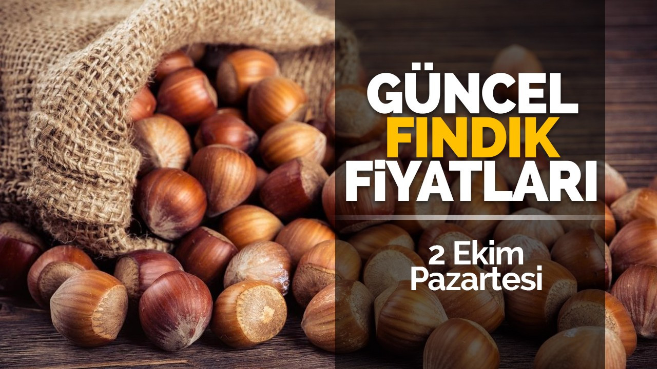 2 Ekim Pazartesi Güncel fındık Fiyatları