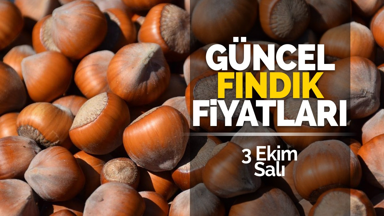 3 Ekim Salı Güncel fındık Fiyatları