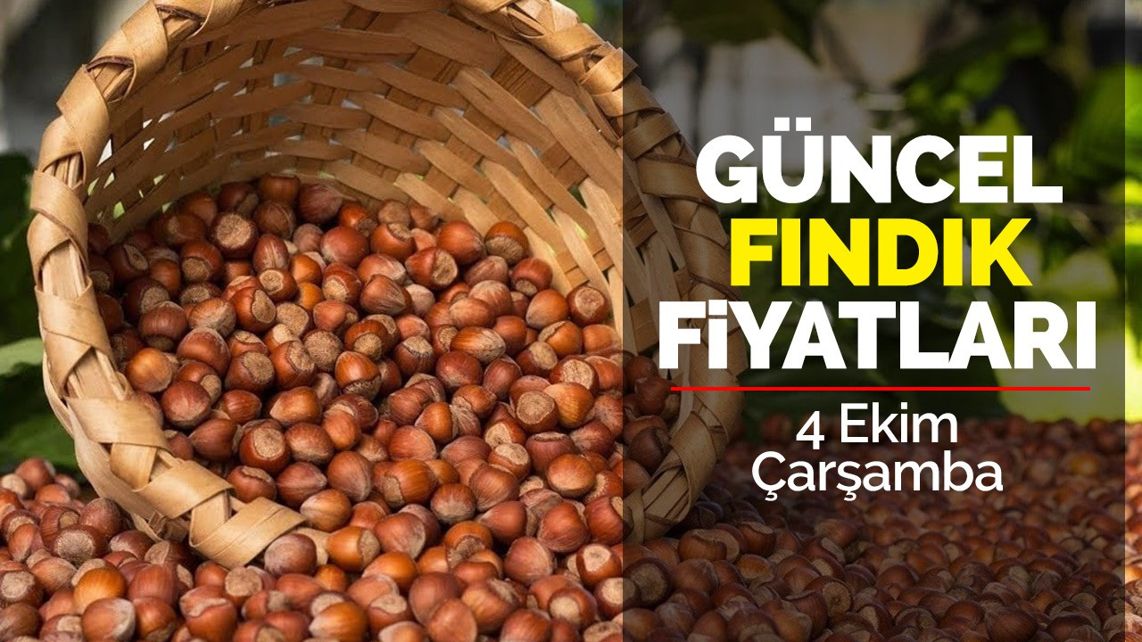 4 Ekim Çarşamba Güncel fındık Fiyatları