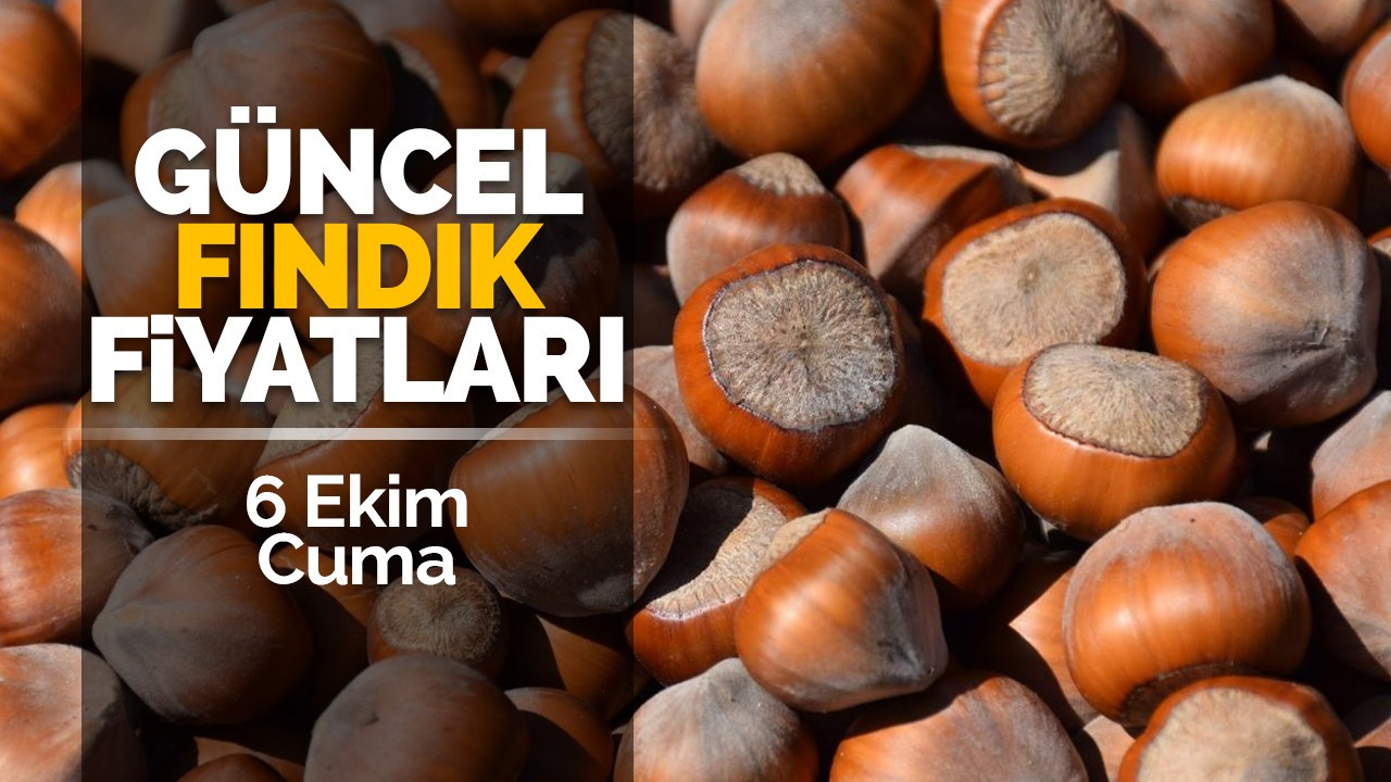 6 Ekim Cuma Güncel Fındık Fiyatları