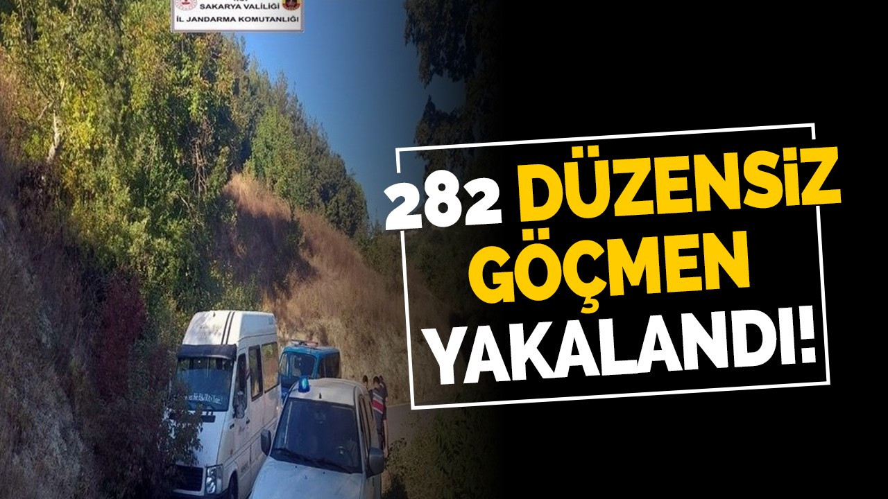 282 düzensiz göçmen yakalandı!