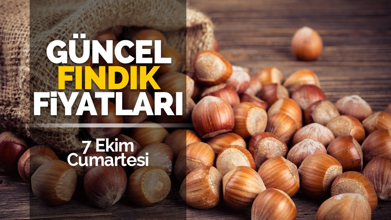 7 Ekim Cumartesi Güncel Fındık Fiyatları