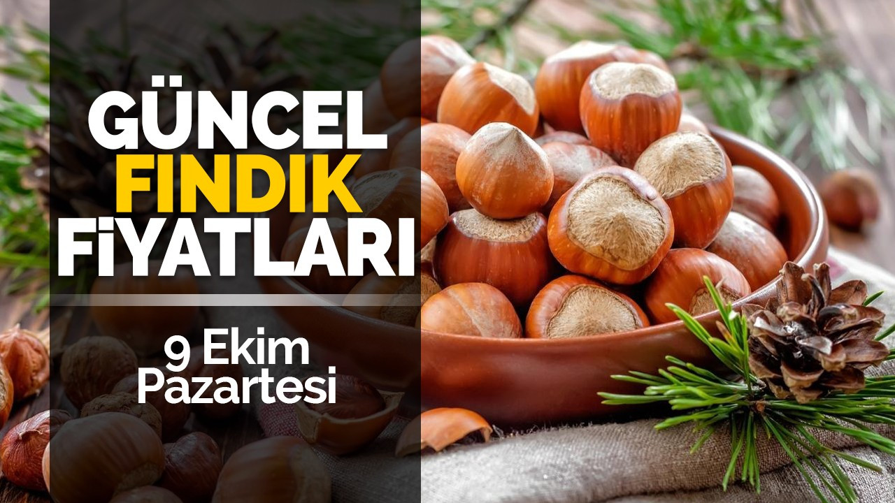 9 Ekim Pazartesi Güncel Fındık Fiyatları