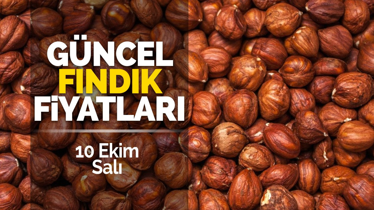 10 Ekim Salı Güncel Fındık Fiyatları