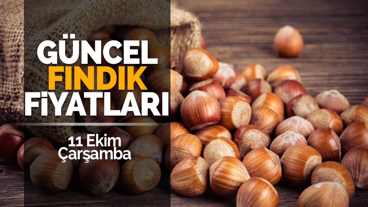 11 Ekim Çarşamba Güncel Fındık Fiyatları