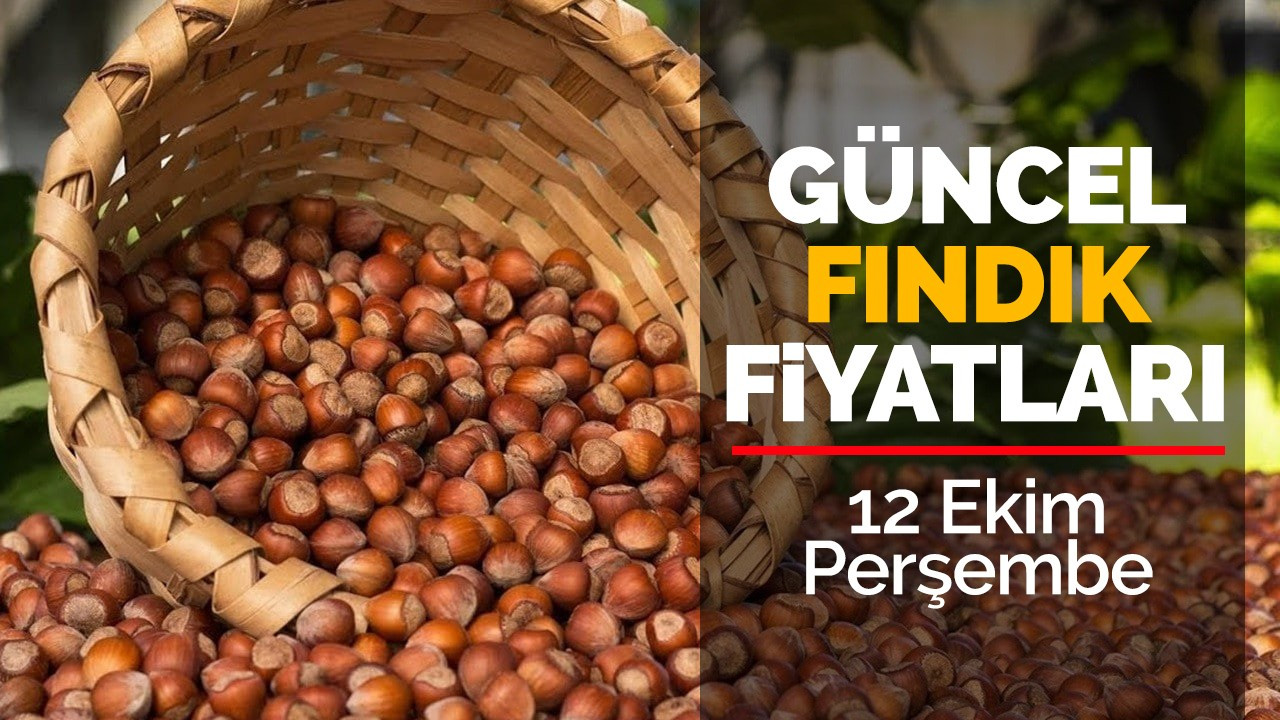 12 Ekim Perşembe Güncel Fındık Fiyatları