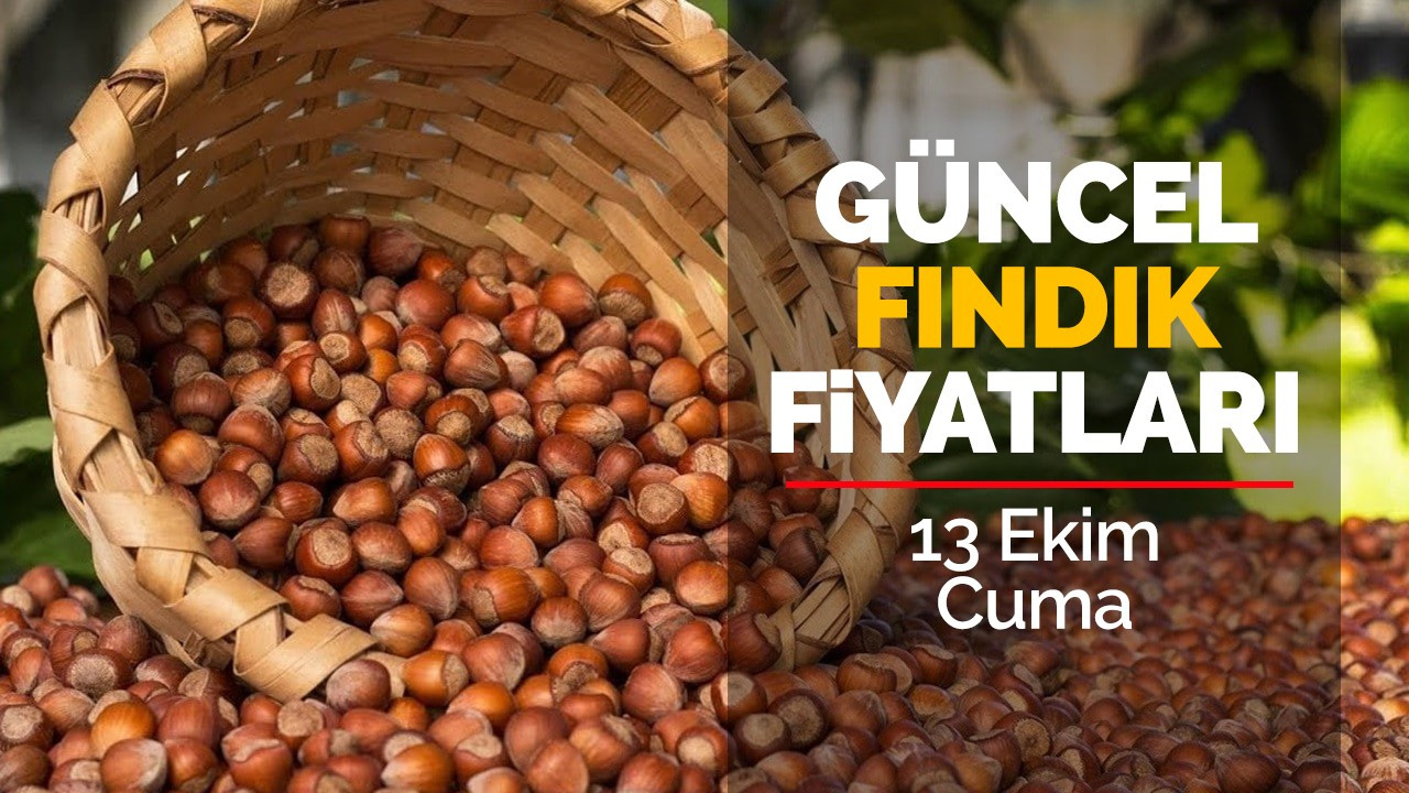 13 Ekim Cuma Güncel Fındık Fiyatları!