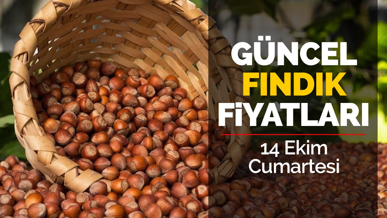 14 Ekim Cumartesi Güncel Fındık Fiyatları!