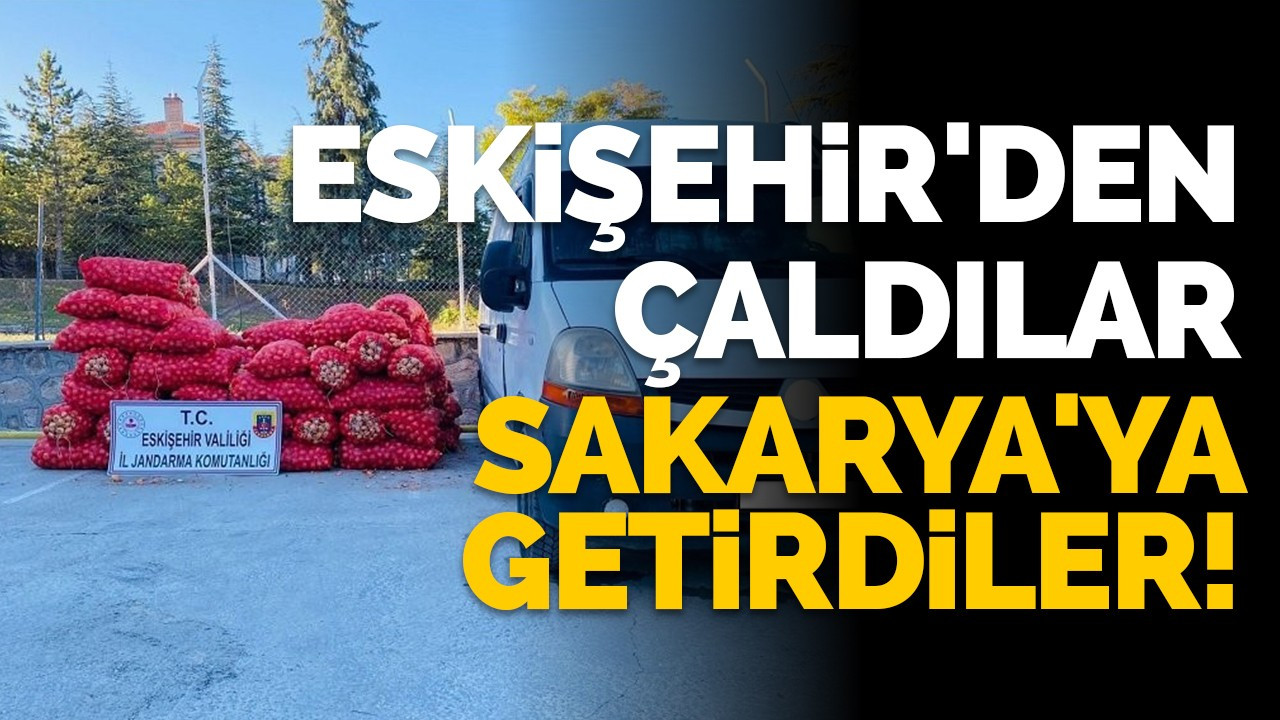 Eskişehir'den çaldılar Sakarya'ya getirdiler!