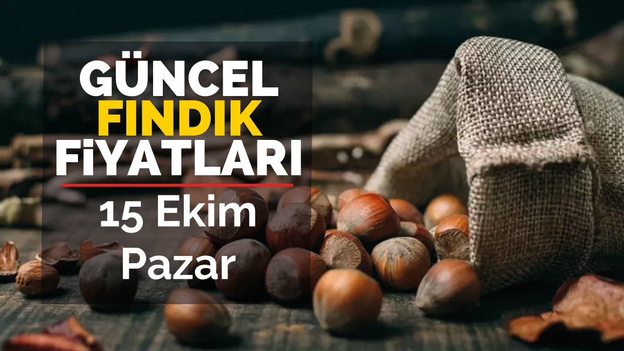 15 Ekim Pazar Güncel Fındık Fiyatları!