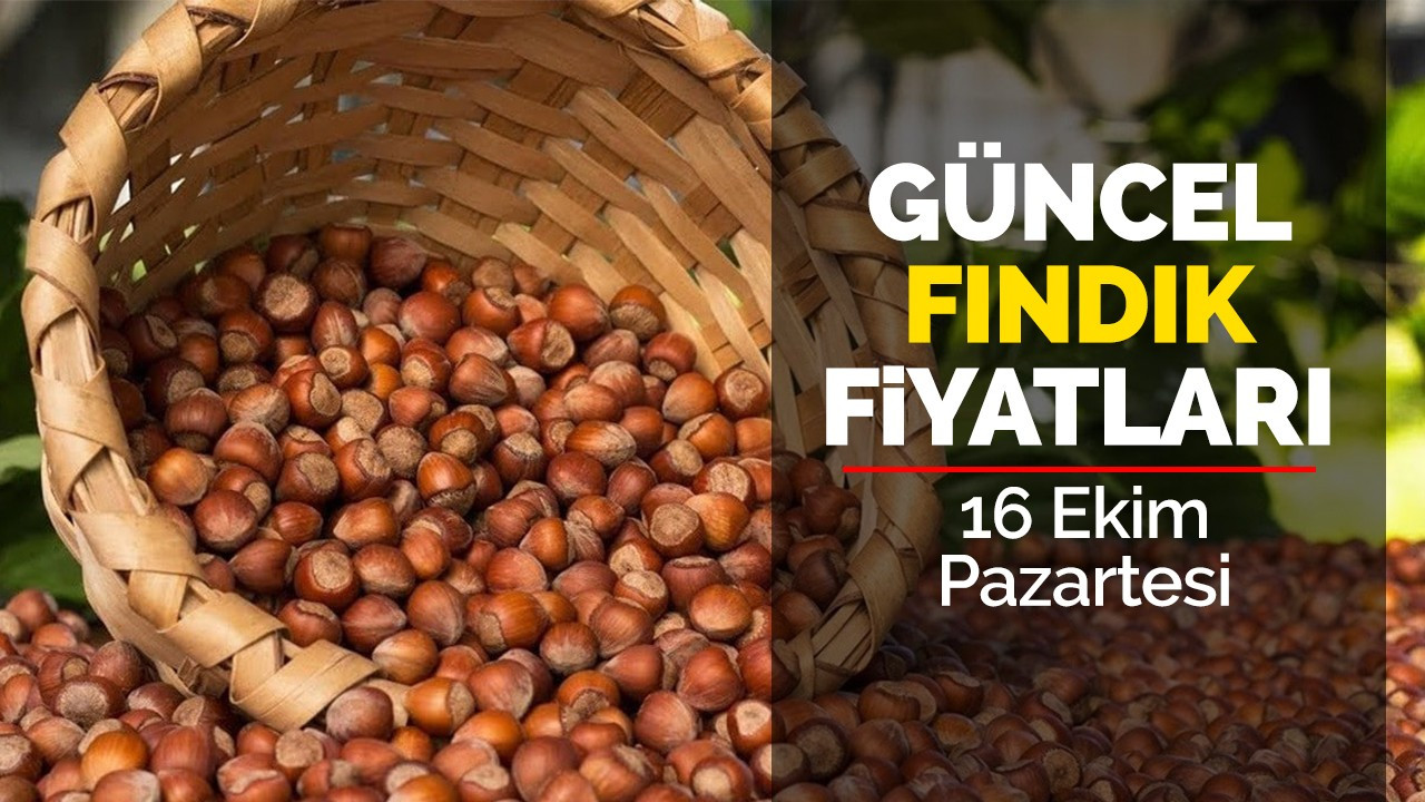 16 Ekim Pazartesi Güncel Fındık Fiyatları!