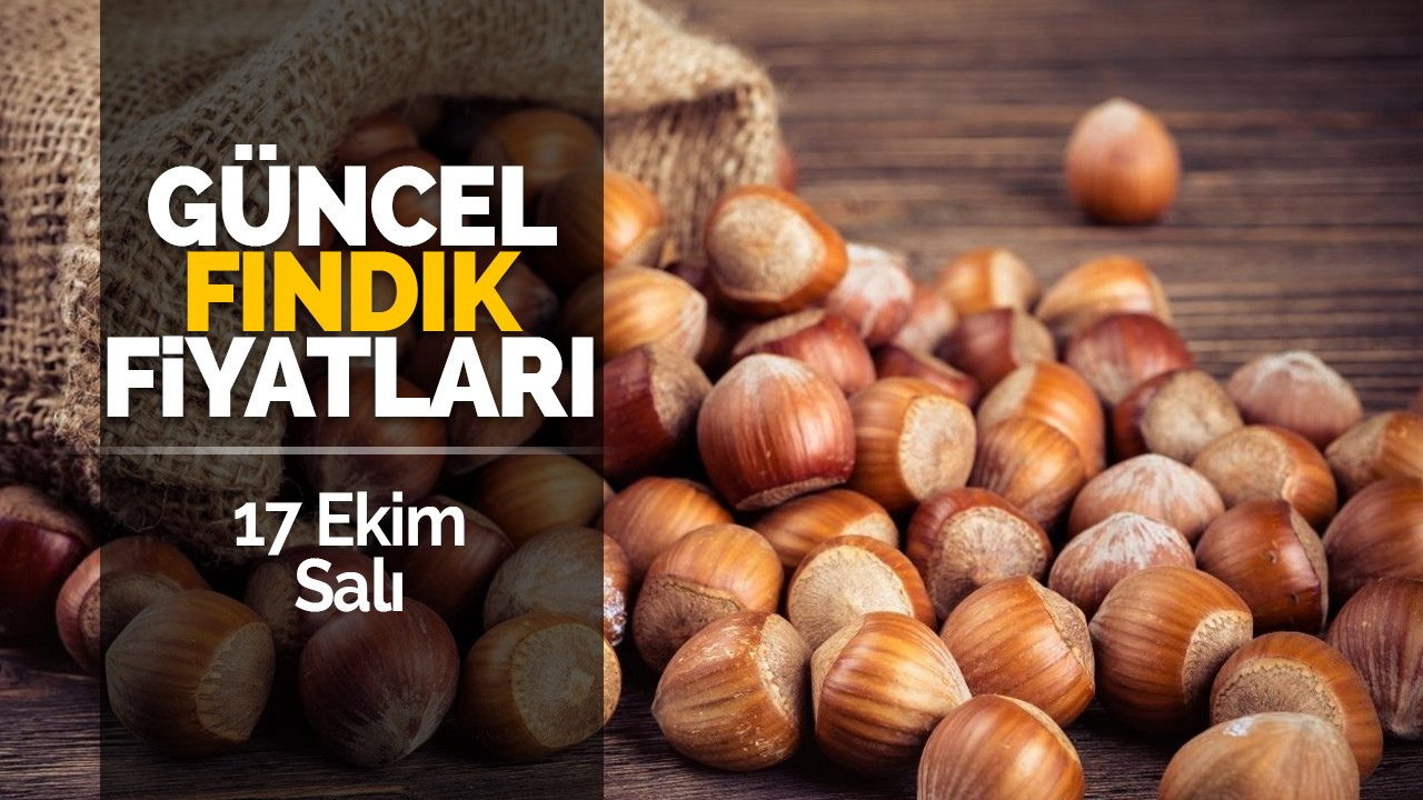 17 Ekim Salı Güncel Fındık Fiyatları