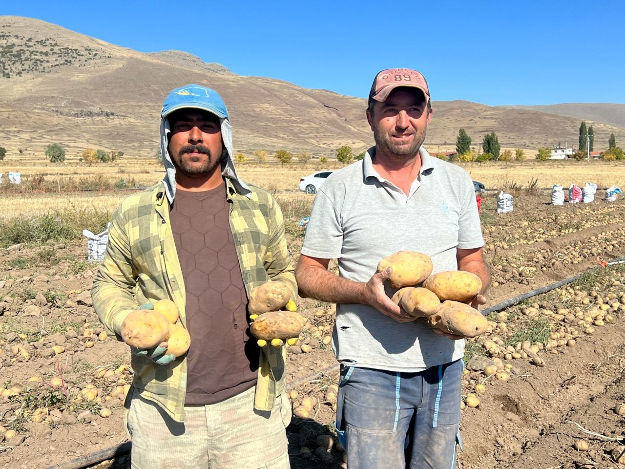 Nevşehir’de patates hasadı başladı - Sayfa 5