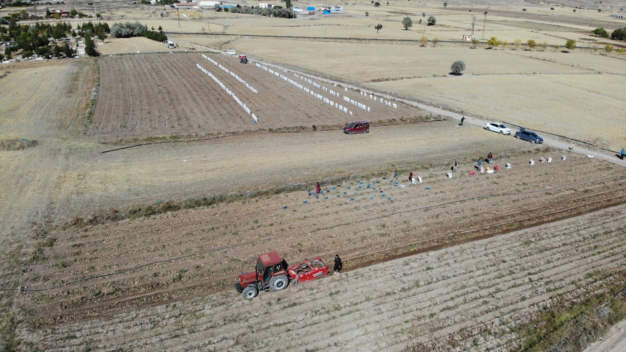 Nevşehir’de patates hasadı başladı