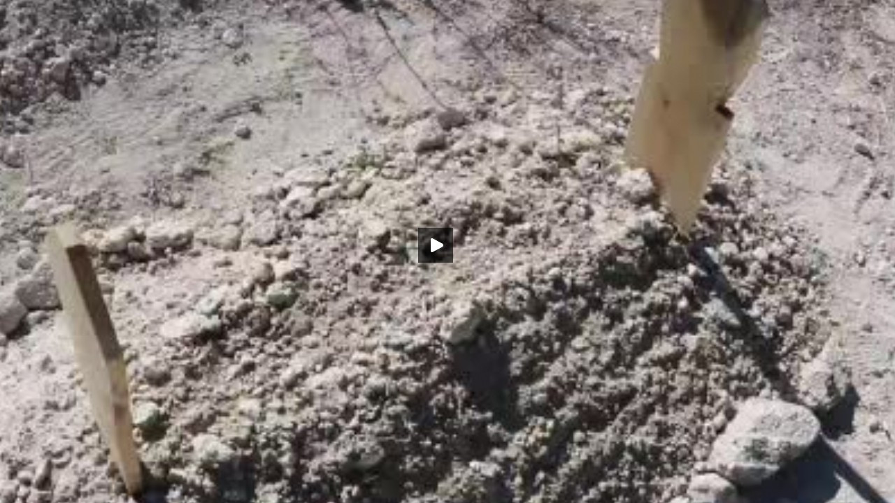 Kırşehir'de boş arazide bebek cesedi bulundu