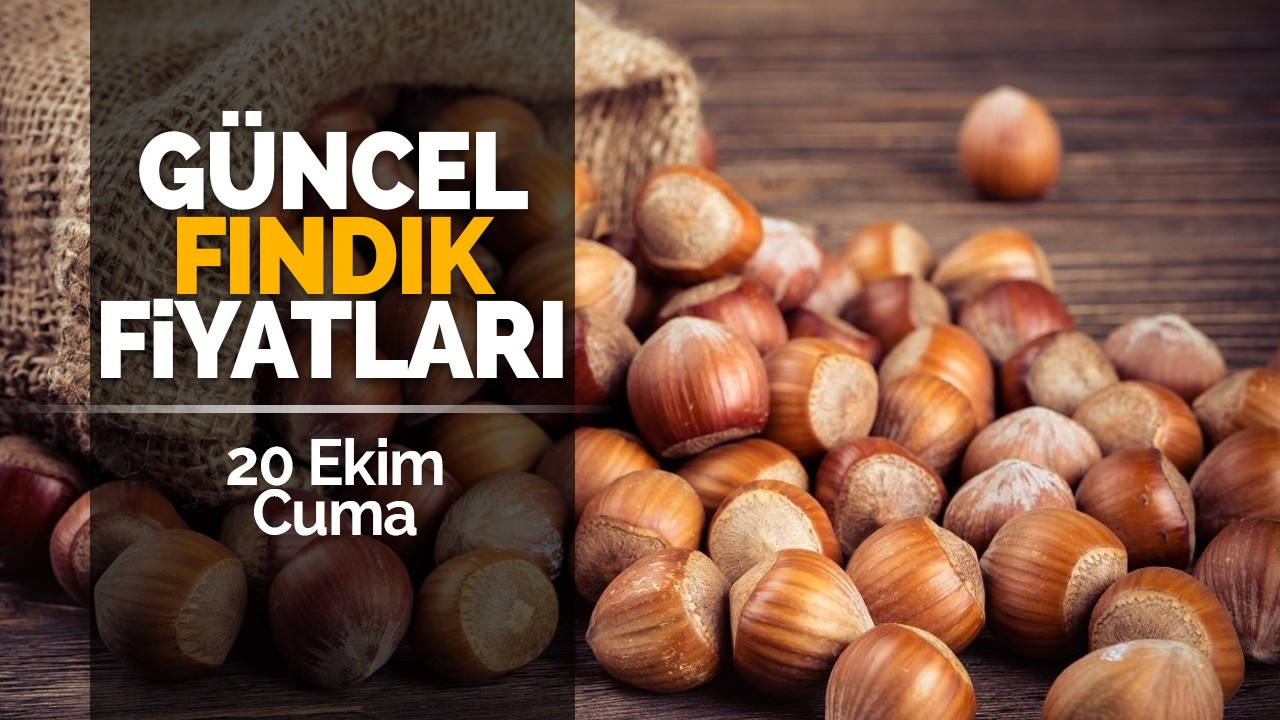 20 Ekim Cuma Güncel Fındık Fiyatları