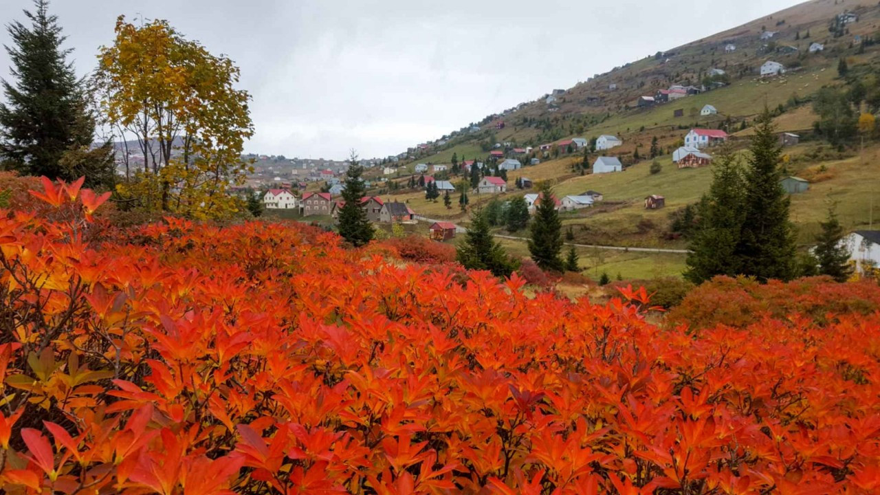 Sis Dağı Yaylası’nda Sonbahar: Muhteşem Görüntüler