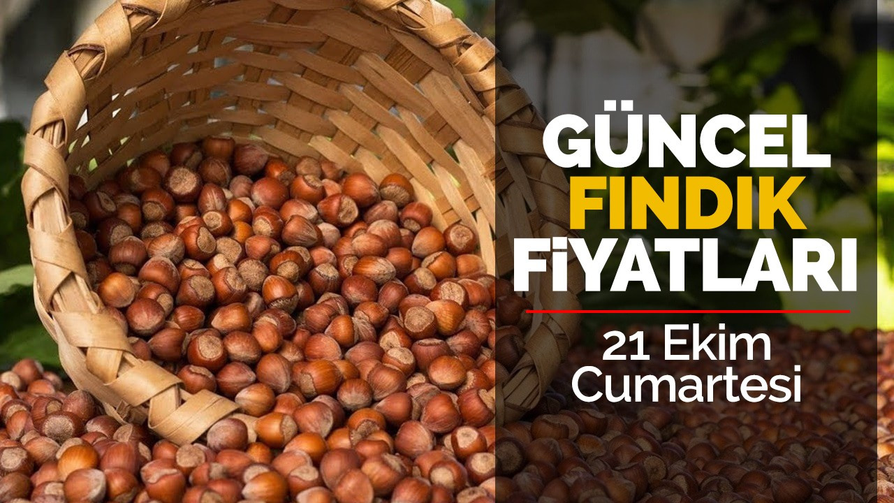 21 Ekim Cumartesi Güncel Fındık Fiyatları