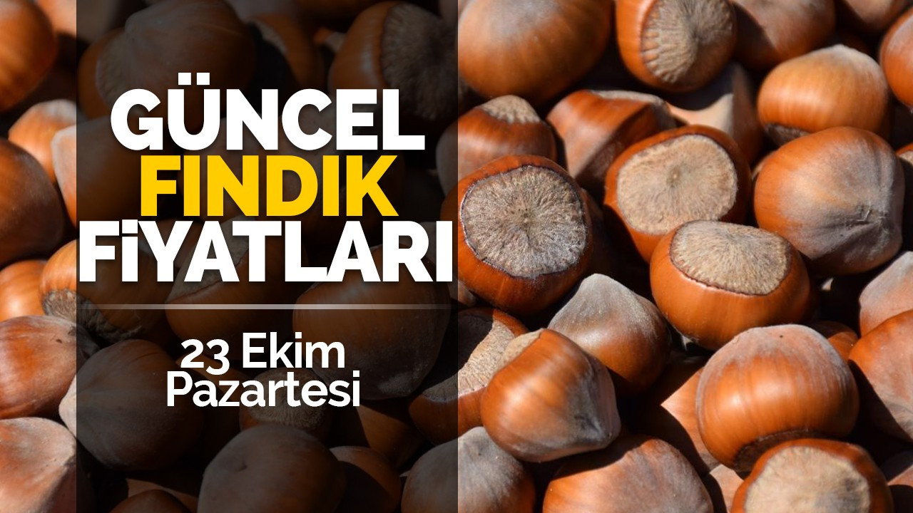 23 Ekim Pazartesi Güncel Fındık Fiyatları