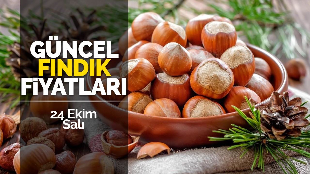 24 Ekim Salı Güncel Fındık Fiyatları