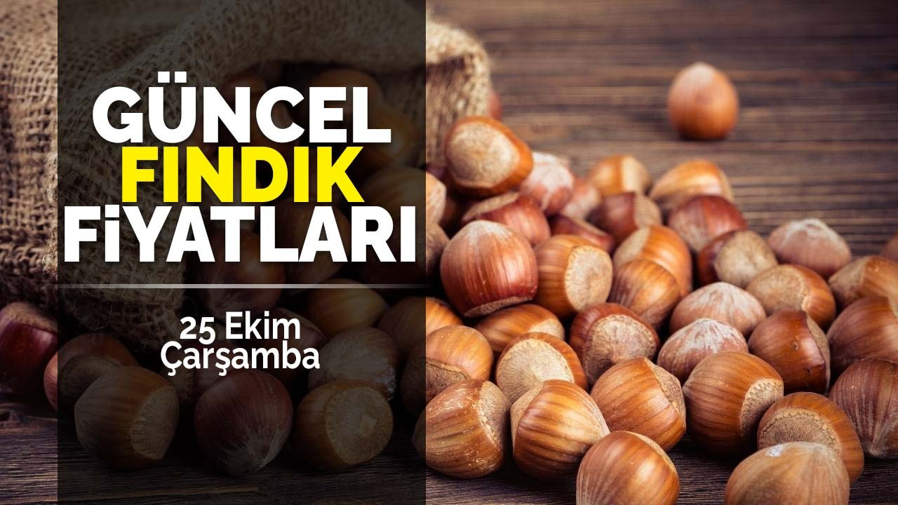 25 Ekim Çarşamba Güncel Fındık Fiyatları