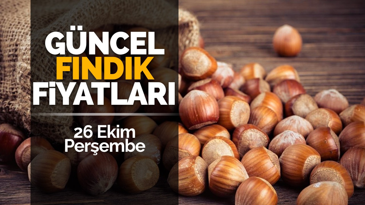 26 Ekim Perşembe Güncel Fındık Fiyatları