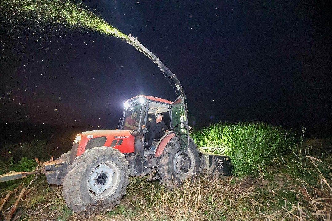 Mucize “pakong" bitkisiyle Sakarya’da bir ilk - Sayfa 5