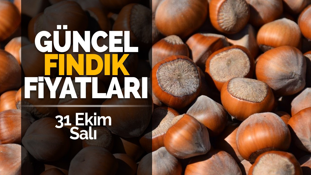 31 Ekim Salı Güncel Fındık Fiyatları