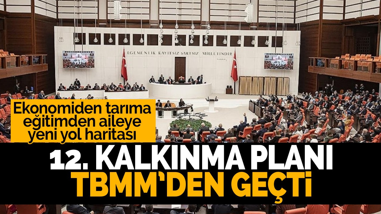 12.Kalkınma Planı TBMM'den geçti