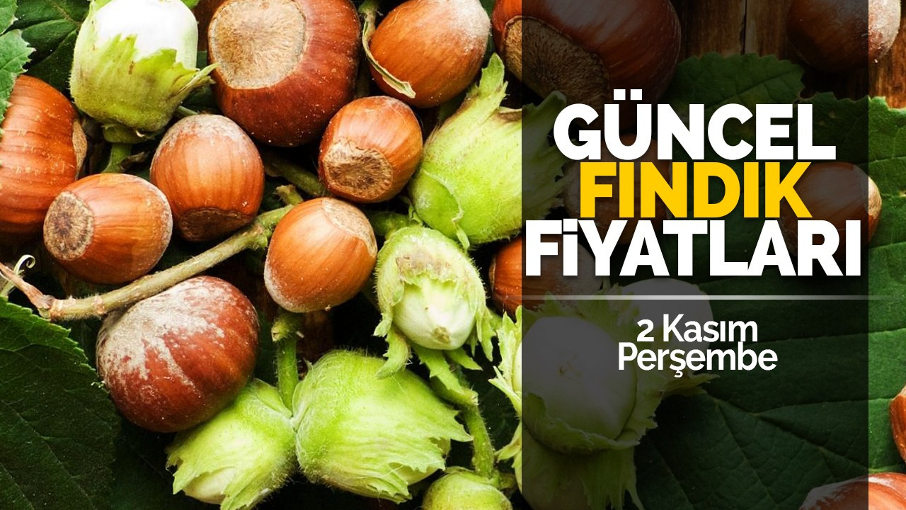 2 Kasım Perşembe Güncel Fındık Fiyatları