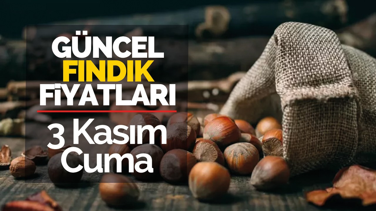 3 Kasım Cuma Güncel Fındık Fiyatları