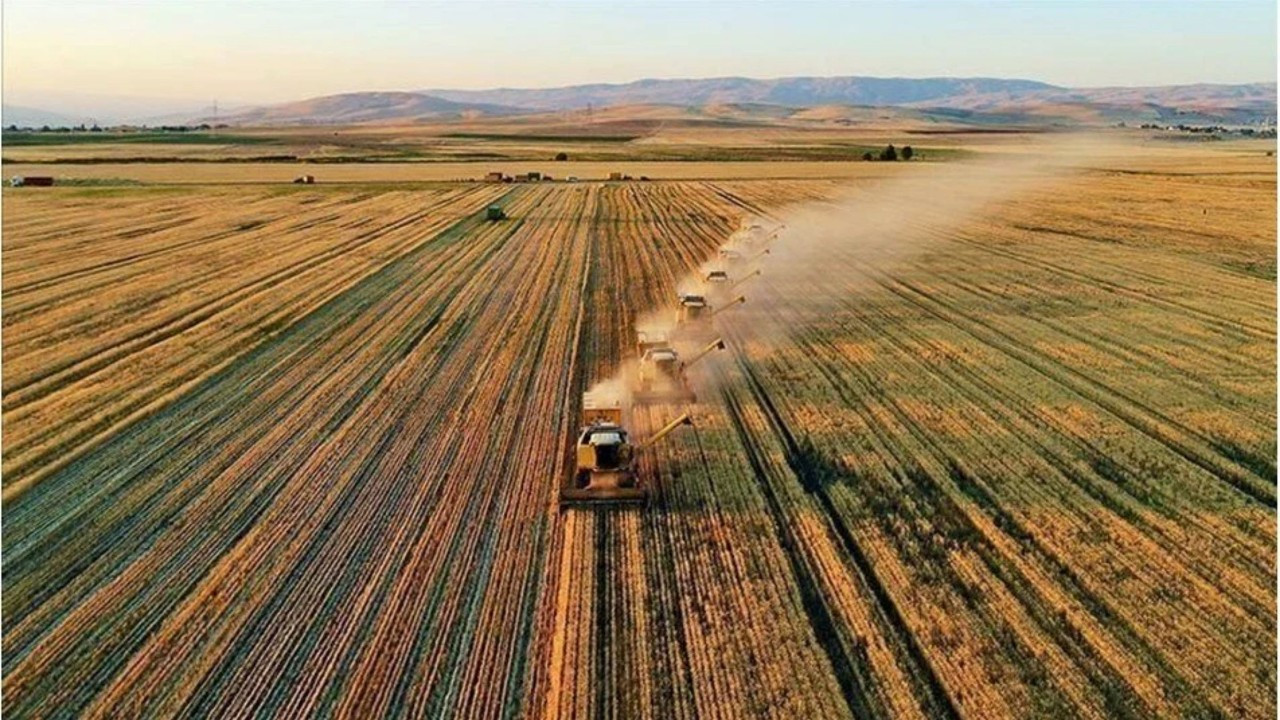 Tarımsal destek ödemeleri bugün yapılacak