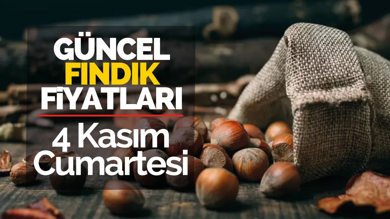 4 Kasım Cumartesi Güncel Fındık Fiyatları