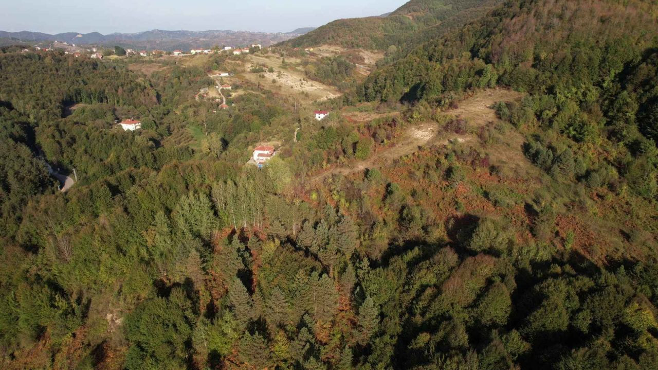 Zonguldak ormanlarında sonbahar güzelliği - Sayfa 6