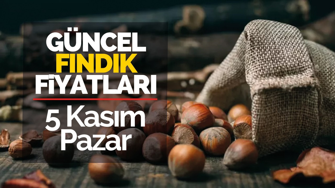 5 Kasım Pazar Güncel Fındık Fiyatları