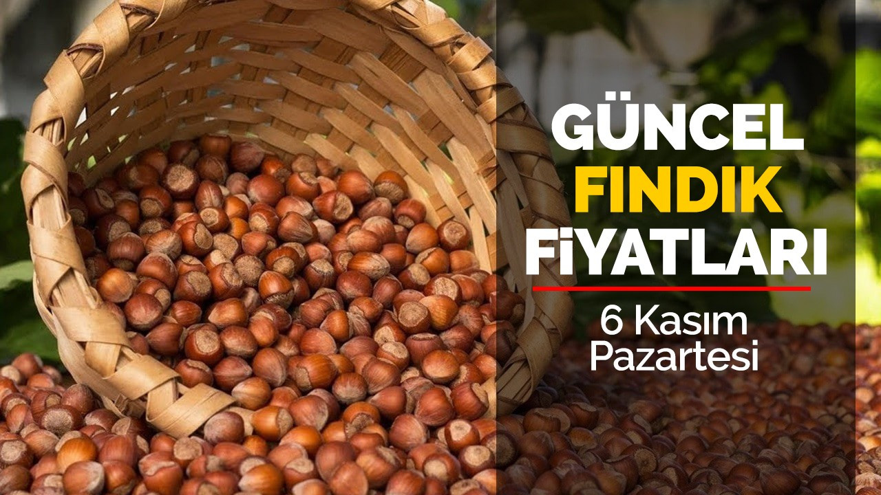 6 Kasım Pazartesi Güncel Fındık Fiyatları