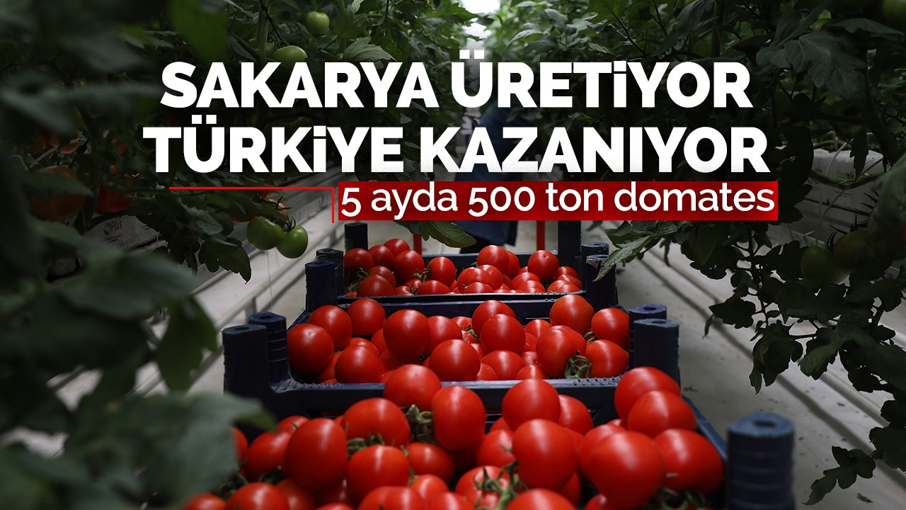 Sakarya üretiyor Türkiye kazanıyor