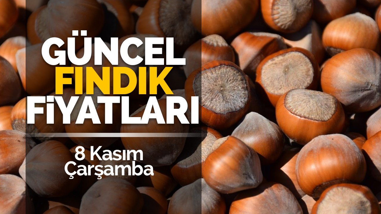 8 Kasım Çarşamba Güncel Fındık Fiyatları