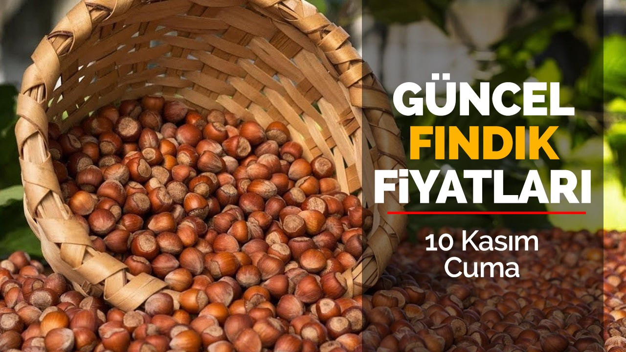 10 Kasım Cuma Güncel Fındık Fiyatları