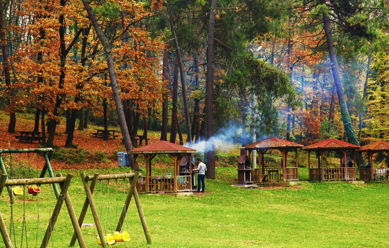 Sakarya Sonbahar'da bir başka güzel - Sayfa 5