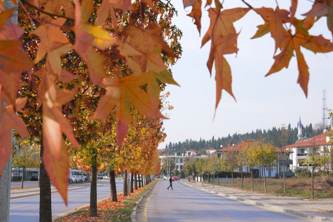 Sakarya Sonbahar'da bir başka güzel - Sayfa 7