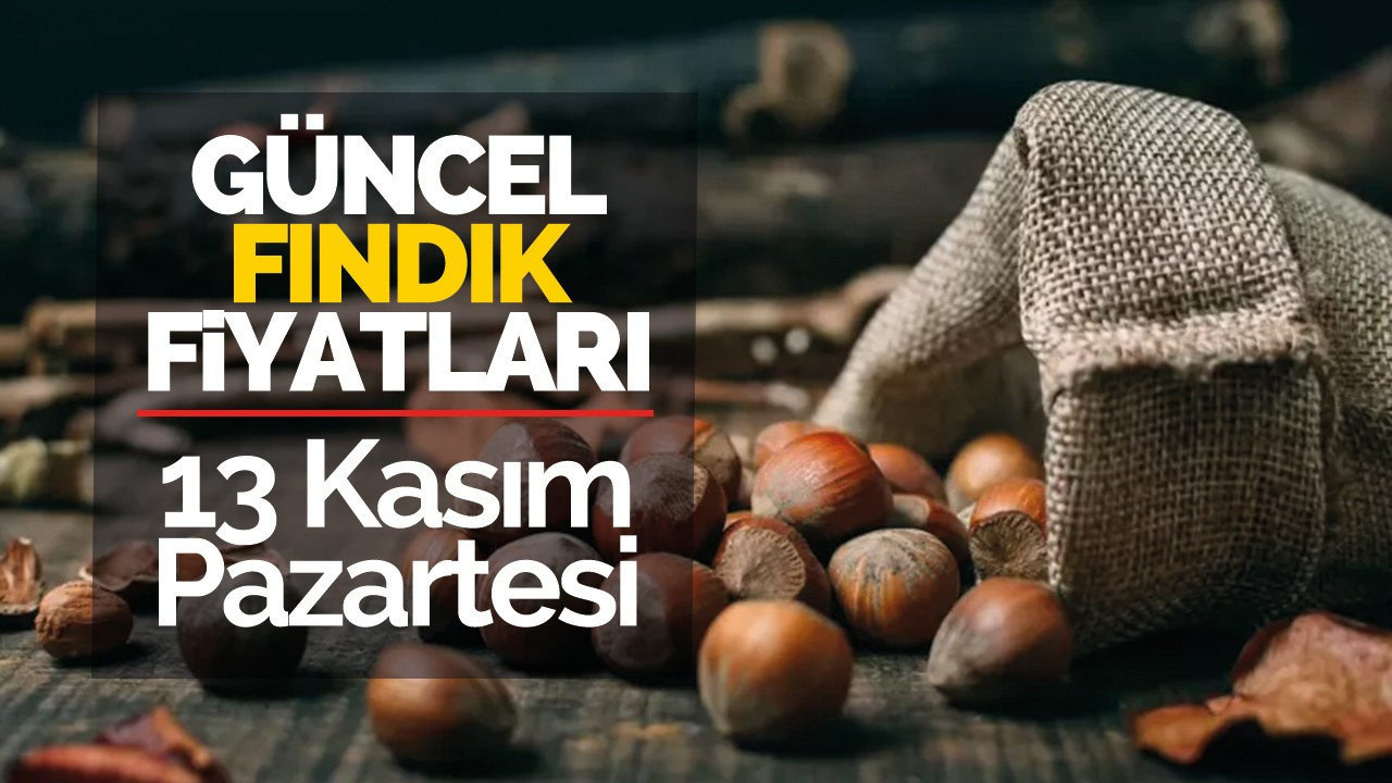 13 Kasım Pazartesi Güncel Fındık Fiyatları