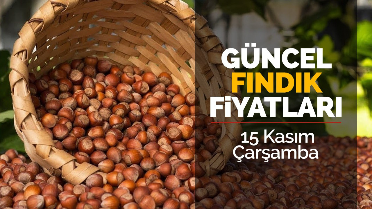 15 Kasım Çarşamba Güncel Fındık Fiyatları