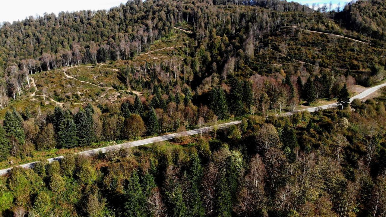 900 Rakımlı Çam Dağı'nda muhteşem görüntüler - Sayfa 7