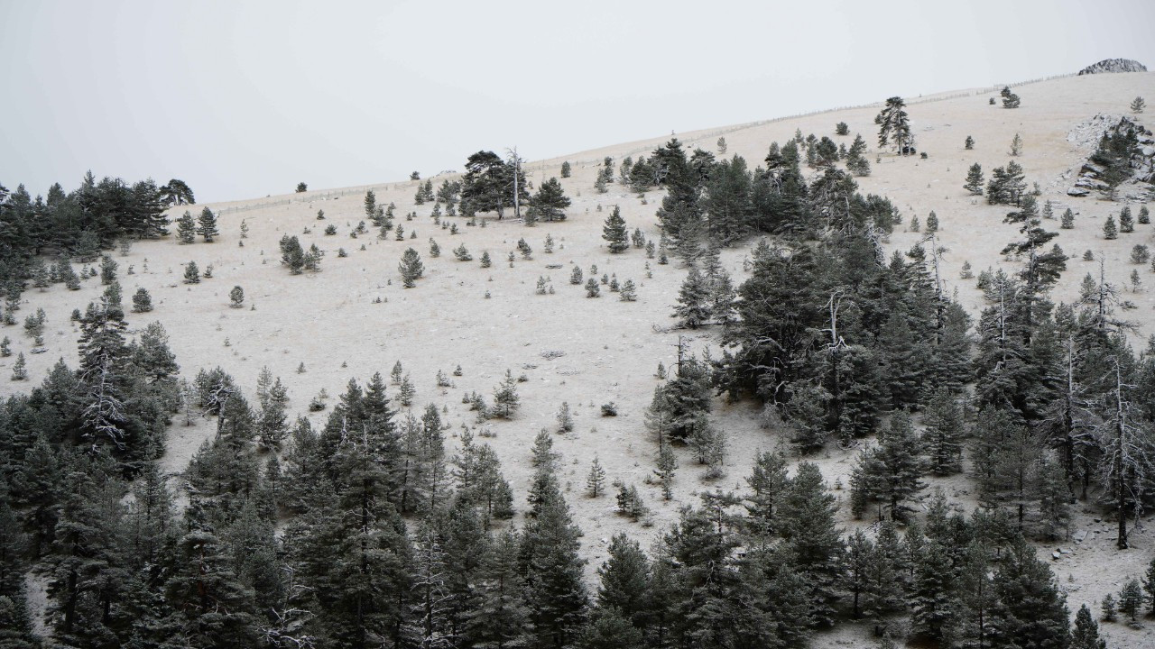 Bolu'ya mevsimin ilk karı yağdı